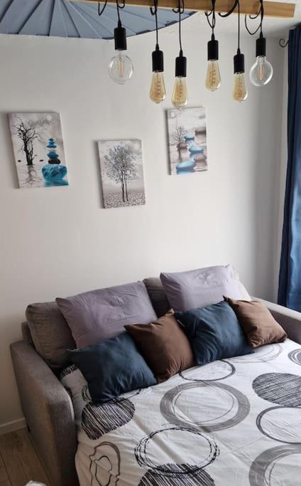 Nemo Petit Studio Cosy. Селонже Экстерьер фото